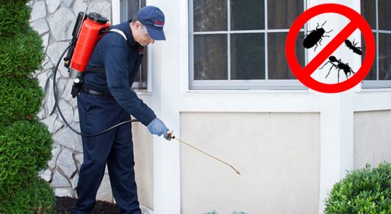 Bandırma Akrep İlaçlama böcek ilaçlama ve haşere kontrolü — ilaclama-tr.com